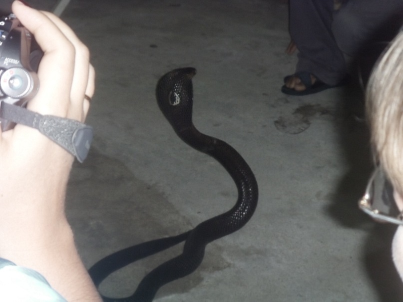 Евгений Прошин фотография #39