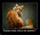 Фотография Устюжаниновой Алены
