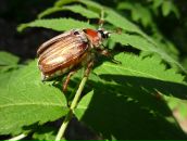 Фотография Федоровской Светланы