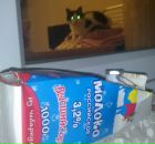 Фотография Нефёдова Алексея