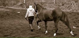 Фотография Михайловой Анны