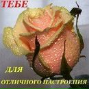 Оля Іванішів(лучків) фотография #30 (источник - https://vk.com/id151675097)