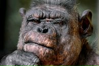 Фотография Коноплёва Владимира