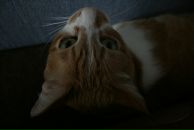 Фотография Гончарова Павла