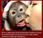 Ірина Бистрицька фотография #27 (источник - https://vk.com/id4862628)