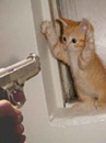 Дєман Глущук фотография #1