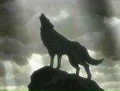 Шмаблы _ не ем. фотография #10 (источник - https://vk.com/id79154257)