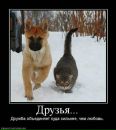 Інесса Лавришин фотография #29 (источник - https://vk.com/id152137011)