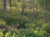 Гена Синило фотография #47 (источник - https://vk.com/id44843113)