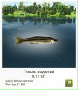 Чарлі Метелик фотография #32 (источник - https://vk.com/id61674657)