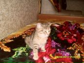 Фотография Манькова Максима