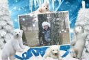 Віталік Андреев фотография #9 (источник - https://vk.com/id139145476)