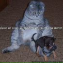 Оксана Іщук фотография #20 (источник - https://vk.com/id159930268)