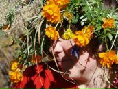 Фотография Kozyreva Marina