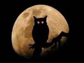 Фотография Худякова Вадима