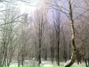 Наталія Кірюхіна фотография #42 (источник - https://vk.com/id142137412)