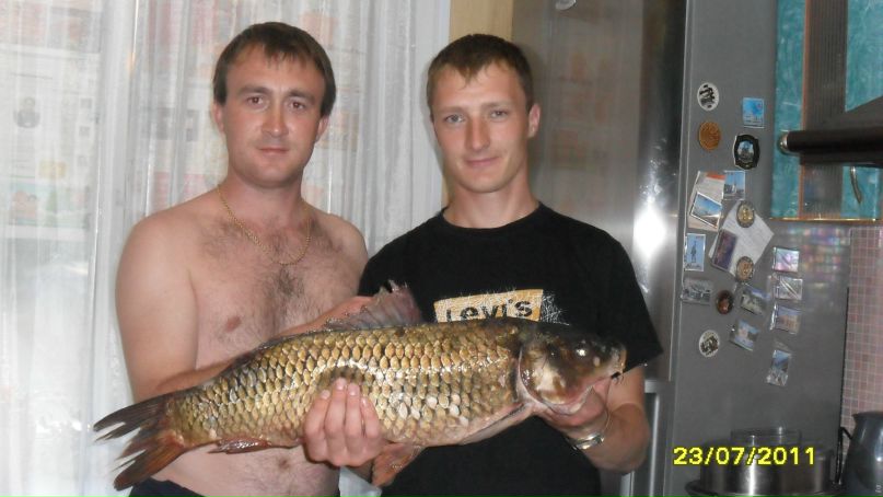 Николай М фотография #19