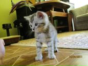 Фотография Попова Даниила