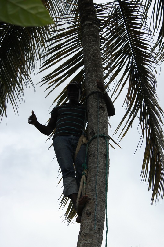 Дмитрий Никулин фотография #19