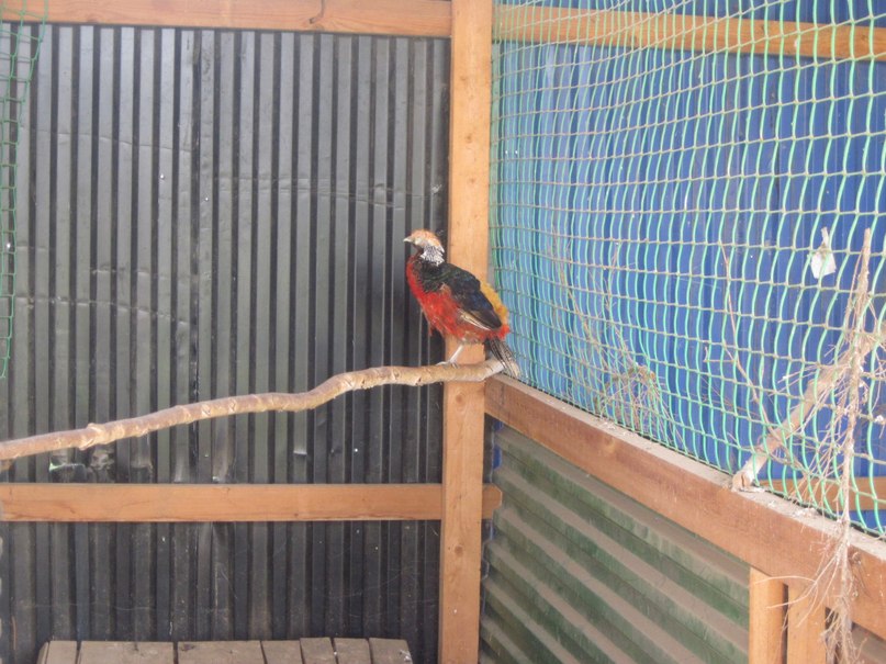 Наталья Гринёва фотография #35