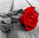 Оленка Філіп*юк фотография #2 (источник - https://vk.com/id162288547)