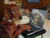 Наталія Гур'янова фотография #27 (источник - https://vk.com/id30916353)