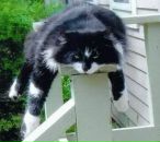 Фотография Купцова Дмитрия