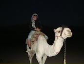 Саня Чекулаев фотография #14 (источник - https://vk.com/id27061)