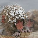 Фотография Москвиной Валерии