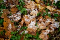 Фотография Кротова Сергея