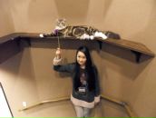 Фотография Kawaii Erika