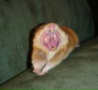 Фотография Фёдорова Ильи