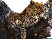 Фотография Котельниковой Натальи