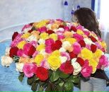 Марія Кучер фотография #34 (источник - https://vk.com/id26698110)