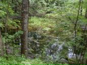 Илья Кисельников фотография #23 (источник - https://vk.com/id45752602)