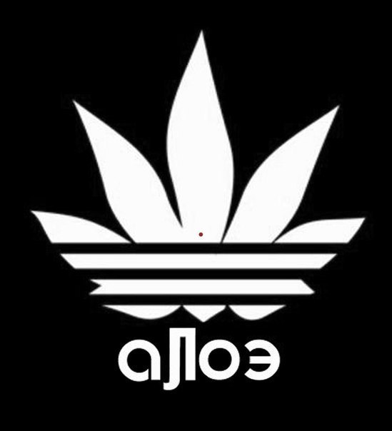 №5, Макс Татару №5, Макс Татару