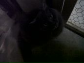 Ліда Omeltchouk фотография #29 (источник - https://vk.com/id19173680)