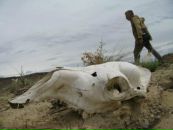 Фотография По Михаила