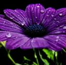 Юлія Ганжа фотография #23 (источник - https://vk.com/id168453202)