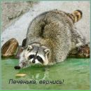 Фотография Петровой Екатерины