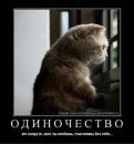 Богдан Свідерський фотография #25 (источник - https://vk.com/id140350143)