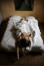 Фотография Лагутиной Катерины