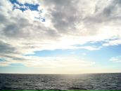 Фотография Минаева Алена