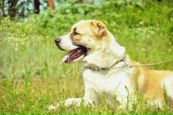 Андрій Ващук фотография #3 (источник - https://vk.com/id169036272)