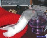 Фотография Галецкого Михаила