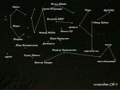 Фотография Кадеева Алексея