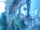 Іваночка Джус фотография #27 (источник - https://vk.com/id150581553)