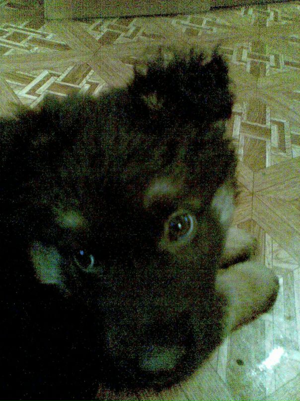 Константин Чеков фотография #49