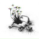 Фотография Слюды Идди