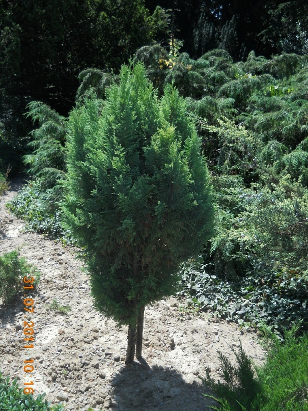 Сергей Черныш фотография #31